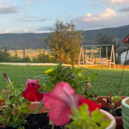 Apartamento Plava Oaza *
